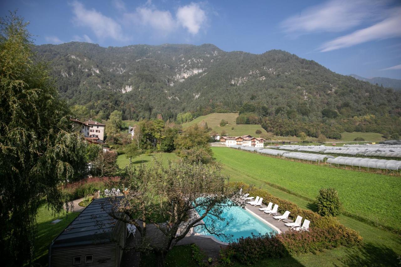 Da Elda Natural Retreat Lenzumo di Concei Exterior photo
